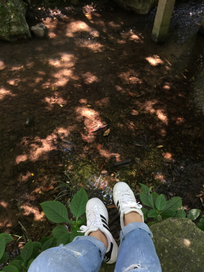 灵隐寺 杭州