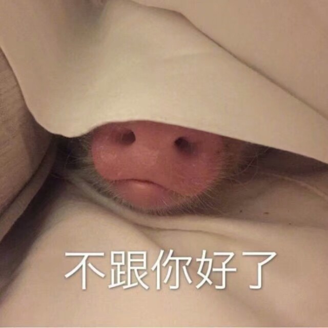 小可爱の表情包 小猪pig 不跟你好了