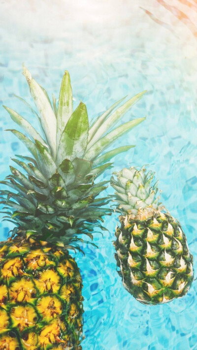 菠萝壁纸