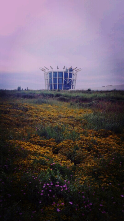 美的不像话的花海