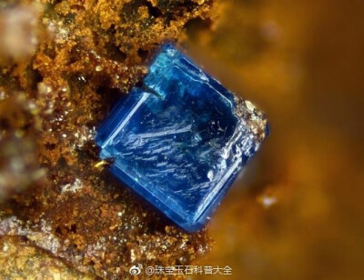 产自西班牙的 银铜氯铅矿 Boleite ，我对这种蓝色真的是完全没有抵抗力啊 ​​​​