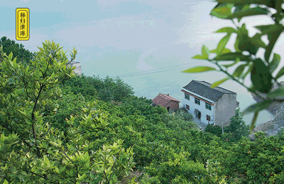 香溪河畔昭君橙，三青三黄为君生
昭君橙
长于香溪河畔
夏橙在当地被称为昭君橙，
相传王昭君年幼时，非常喜欢吃橙子，
还亲手种植了一片橙园。
后来昭君入了宫，乡亲们为了怀念王昭君，
就将橙树种满了香溪河畔。