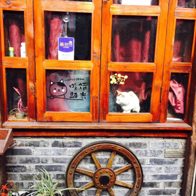 和我在成都的街头走