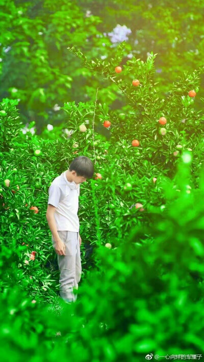 我们的少年时代 尹柯