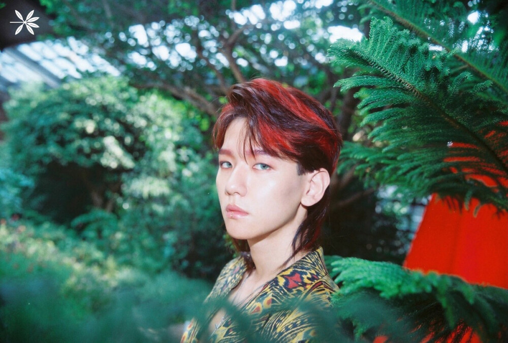 EXO 엑소 변백현 边伯贤 Baek Hyun