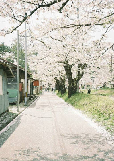 干净的街道，清新的风景，感觉就像漫画里一样。