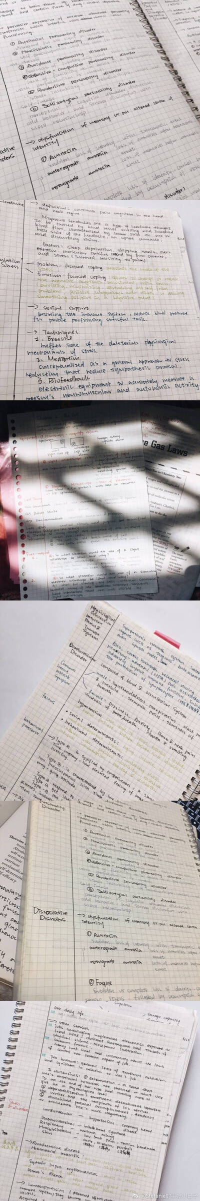 studyaccount 源自微博