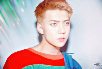 EXO 吴世勋 SE HUN
KO KO BOP预告
THE WAR 专辑预告