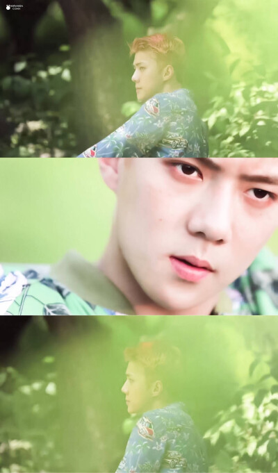 EXO 吴世勋 SE HUN
KO KO BOP预告
THE WAR 专辑预告