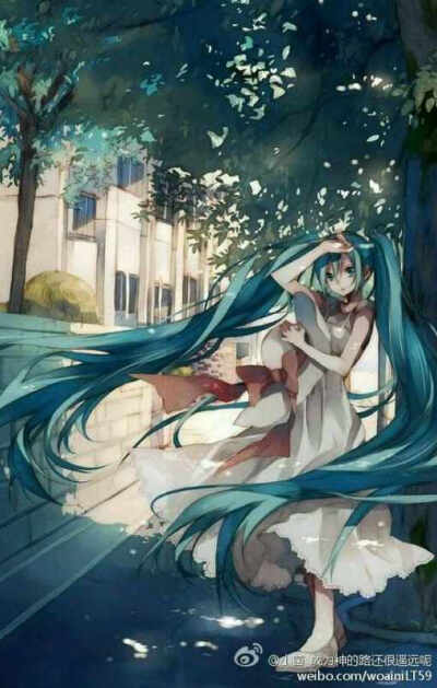 miku(╯3╰)