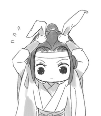 #魔道祖师#蓝忘机#可爱 想天天[二哈]作者：提zizizi【向太太致敬】