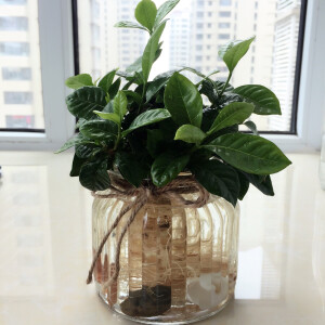 换个环境也得好好活下去啊