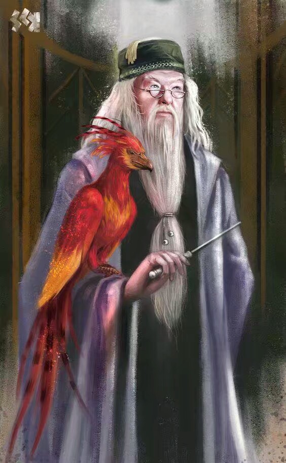 阿不思·珀西瓦尔·伍尔弗里克·布赖恩·邓布利多
Albus·Percival·Wulfric·Brian·Dumbledore