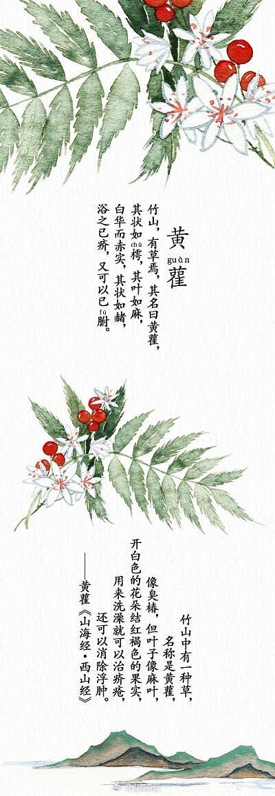 来自山海奇谈，神奇植物