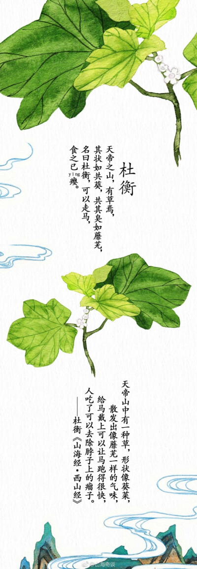 来自山海奇谈，神奇植物