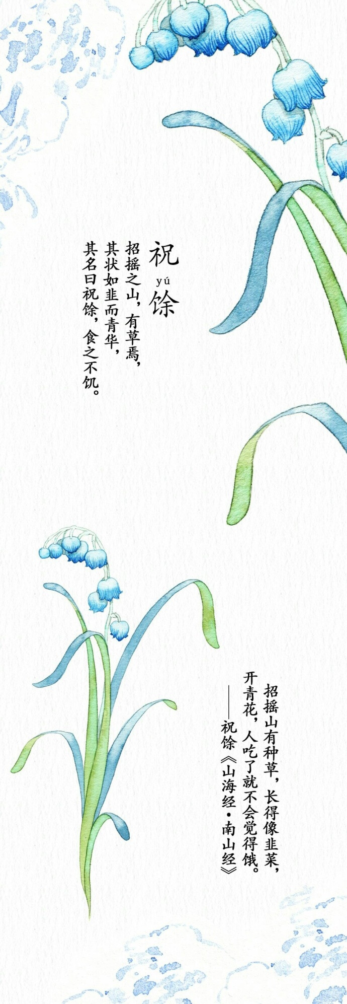 来自山海奇谈，神奇植物