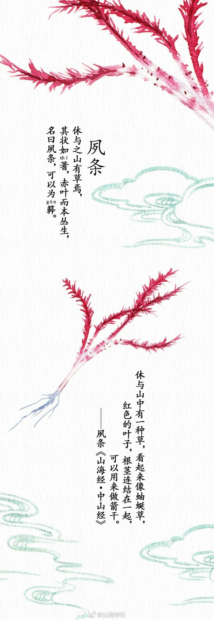 来自山海奇谈，神奇植物