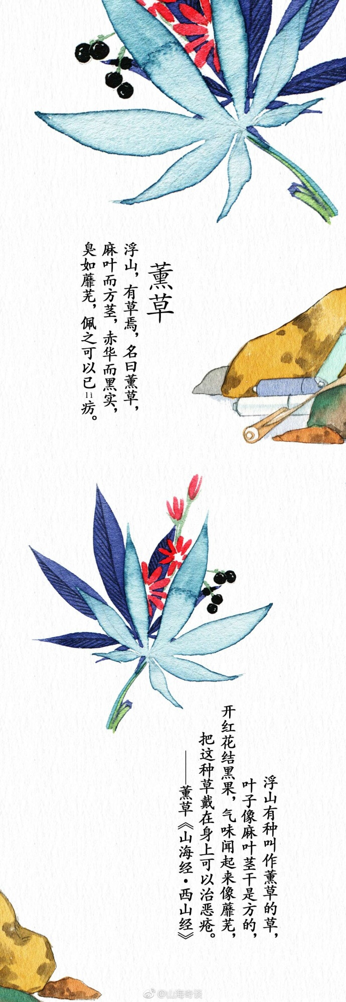 来自山海奇谈，神奇植物