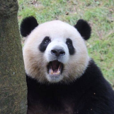 一脸震惊