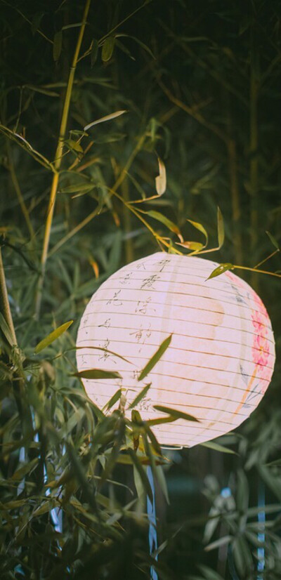 夜阑旧事恰如今.把酒如何不饮.绣阁深灯暖翠绿.月冷空庭竹影。