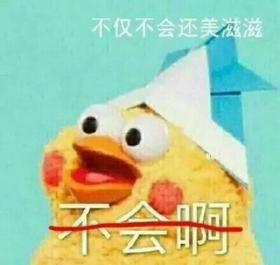 鹦鹉兄弟