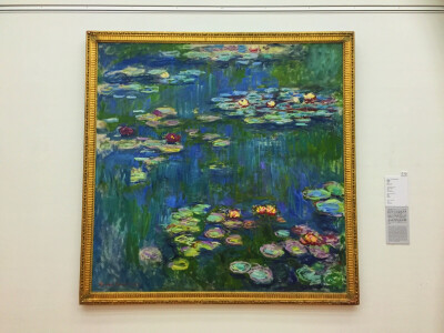 国立西洋美术馆【莫奈】#Claude Monet##一面墙大的《睡莲》#