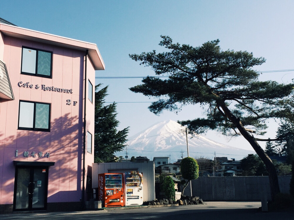 我想，你看到的是富士山吧