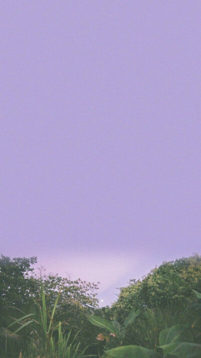 from微博 关于壁纸｡◕‿◕｡