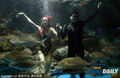 韩国首尔水族馆推出新节目 水中探戈舞姿优雅（组图）