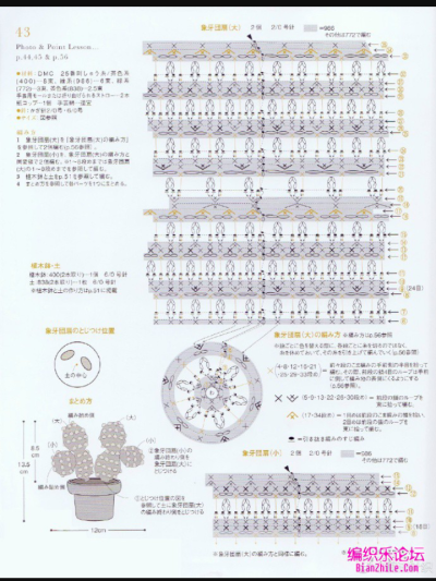 多肉盆栽4