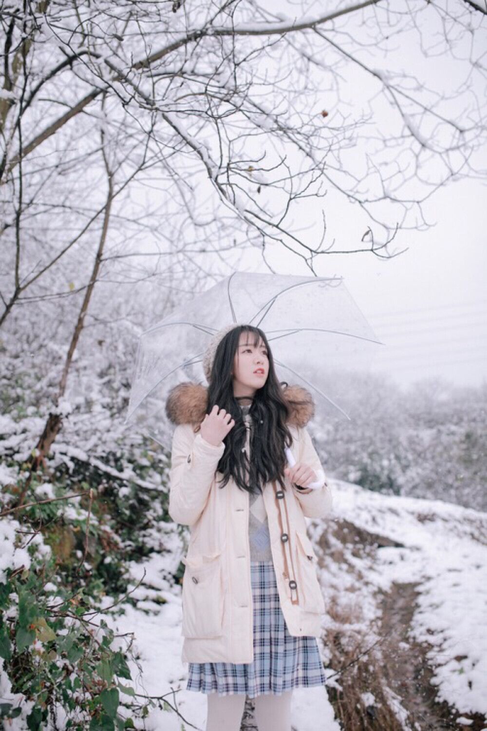 我住的城市从不下雪.就在你离开的这一年.天空莫名飘起了大雪