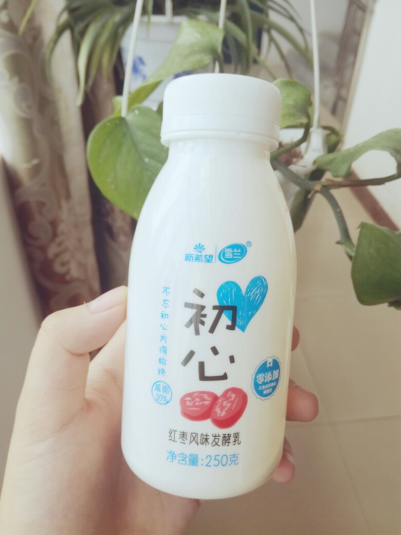 红枣味的初心酸奶～