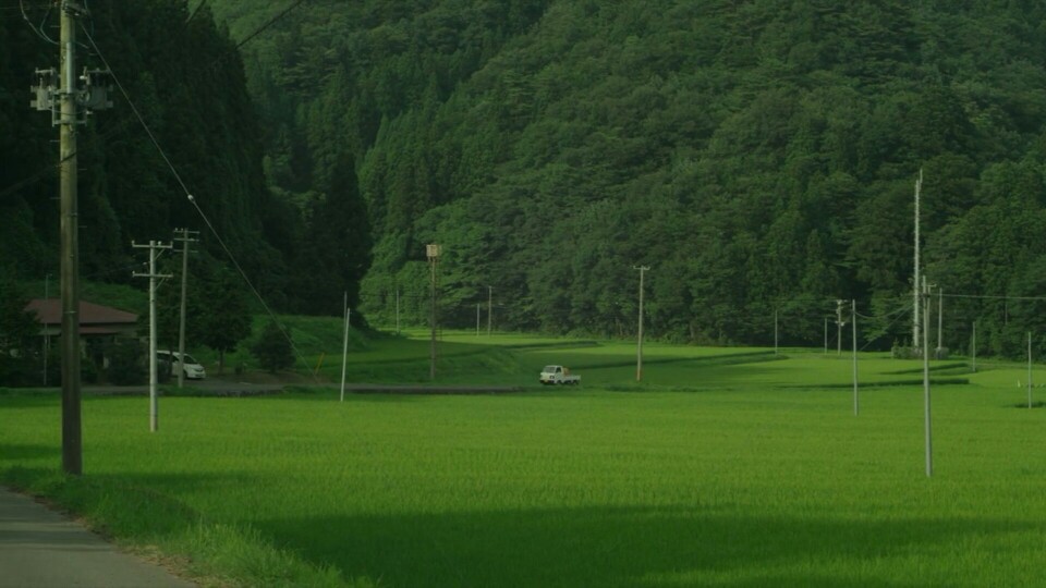 日本清新美食电影 小森林