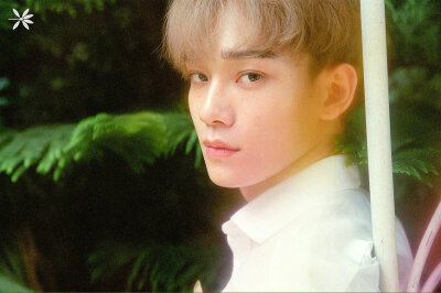 EXO 四辑THE WAR 预告照 *CHEN