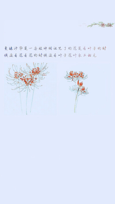 曼珠沙华