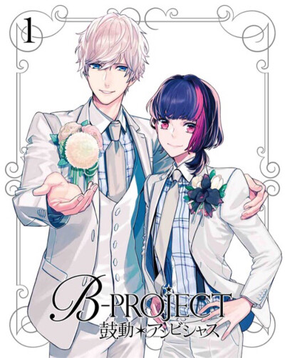 B-project