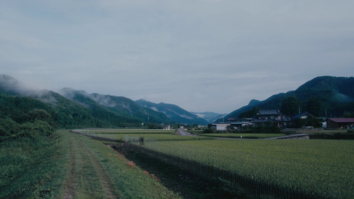 足立梨花，江野沢爱美《伤痕累累的恶魔》2016