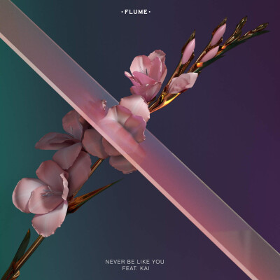 Never Be Like You―Flume/Kai