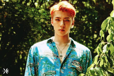 EXO夏日回归 kokobop
the war
EXO SEHUN 吴世勋
听说这次回归是大佬风