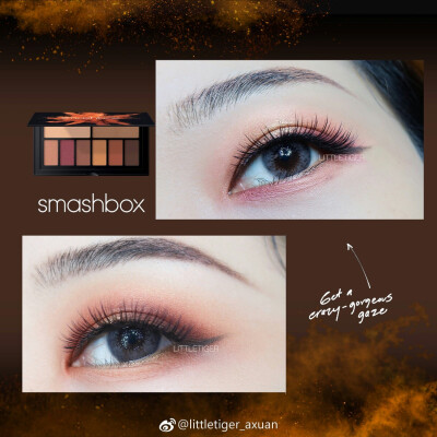 smashbox eye palettes ablaze 枫叶盘