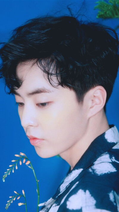 Xiumin 金珉锡 김민석 EXO
cr.twitter:x2621o