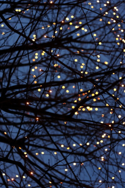 糟糕透了的一天，被你莫名其妙的伤害。