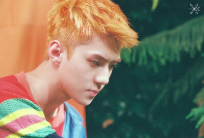 exo 四辑 koko bop 高清 壁纸 海报 sehun 吴世勋