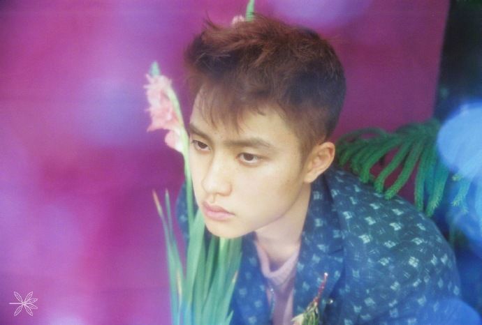 EXO回归 KOKOBOP 暻秀♡