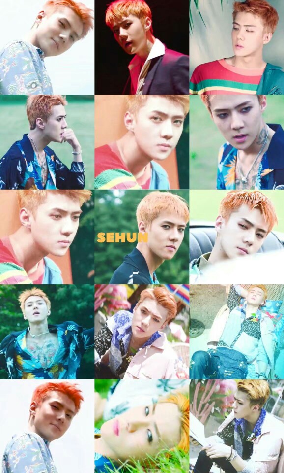 sehun kokobop exo团宠