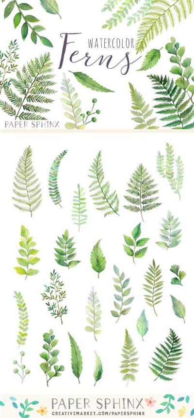 手绘水彩绿色植物 小清新平面设计 手账贴纸素材 树叶 森系
