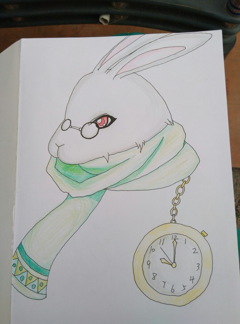钟表兔