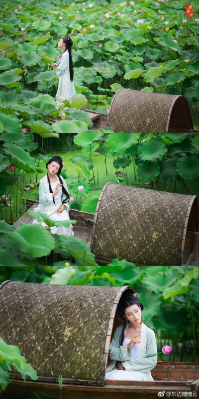 #云仙集# 《惜荷》荷叶五寸荷花娇，贴波不碍画船摇；相到薰风四五月，也能遮却美人腰。关注及转发7号抽一名现金红包99元。出镜：@叶初婳 摄影及后期：@东边云工作室 @琴雅泫 @米木兮也 化妆造型：@舒穆禄素文君 服装…