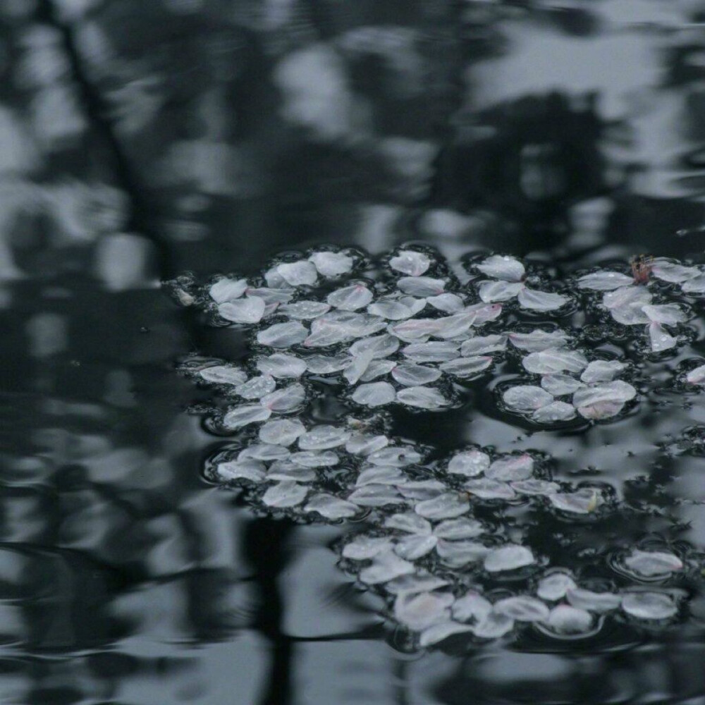 流水落花。