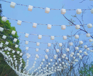 夜晚会亮成一片一片的，很美